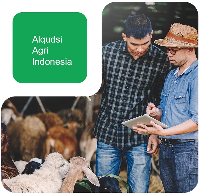 alqudsi agri indonesia - profil 1